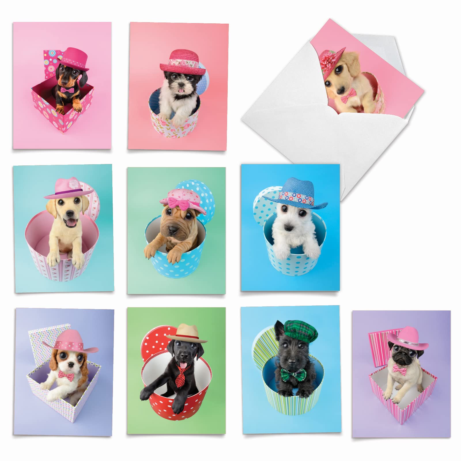 10 Cute Birthday Note Cards with Envelopes for Men & Women - 4