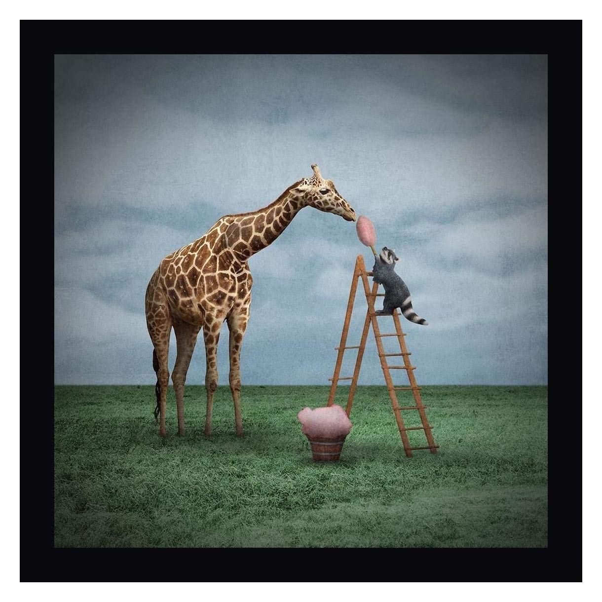 Greg Noblin Cotton Candy 30x30 Black Framed Canvas Art Print - Ready to Hang Wall Decor for Living Room, Bedroom & Office