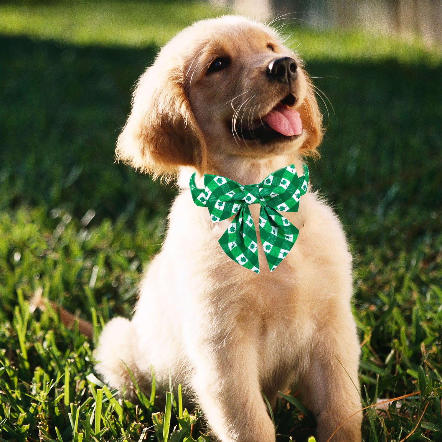 Adjustable St. Patrick's Day Dog Collar with Bow Tie - Green Plaid Shamrock Design for Small, Medium & Large Dogs | Perfect for Irish-Themed Parties, Parades & Spring Celebrations