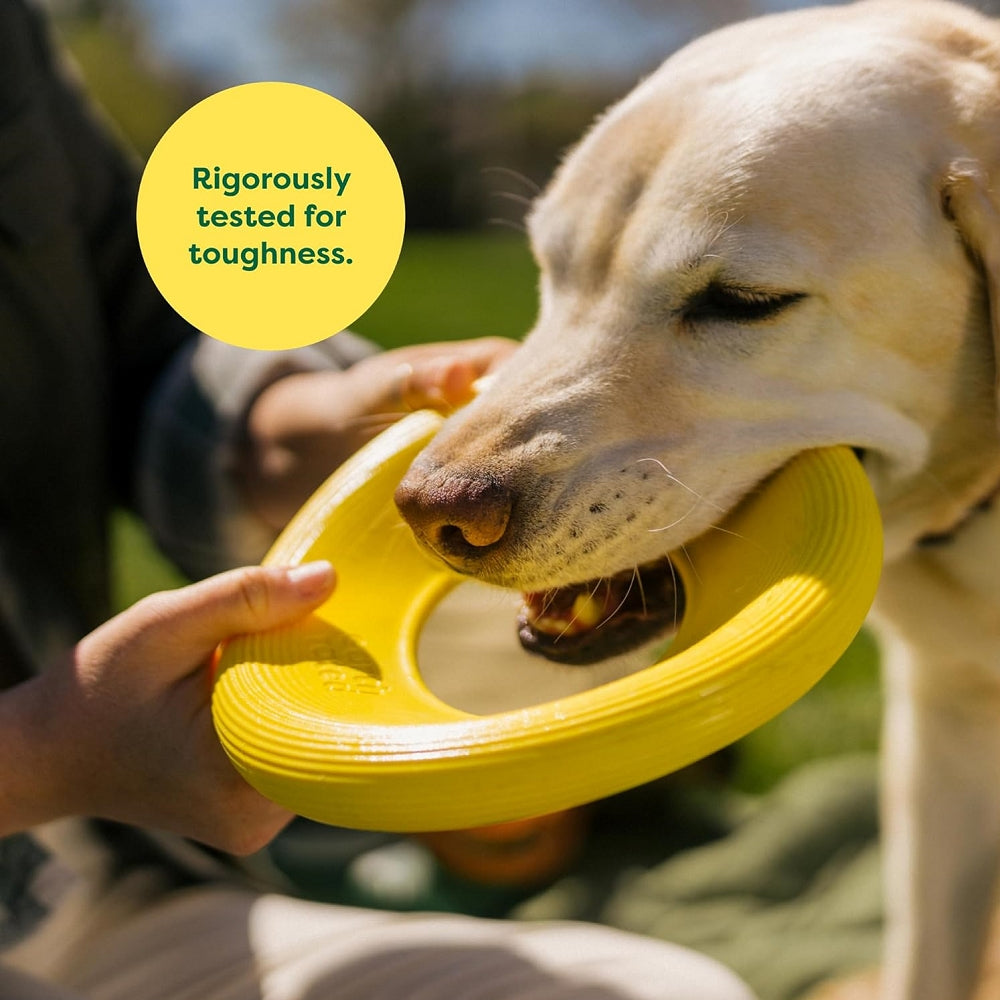 Durable Natural Rubber Dog Flyer Toy - Chew Resistant Flying Disc for Outdoor Play, Fetch & Training - Perfect for Active Dogs & Puppies