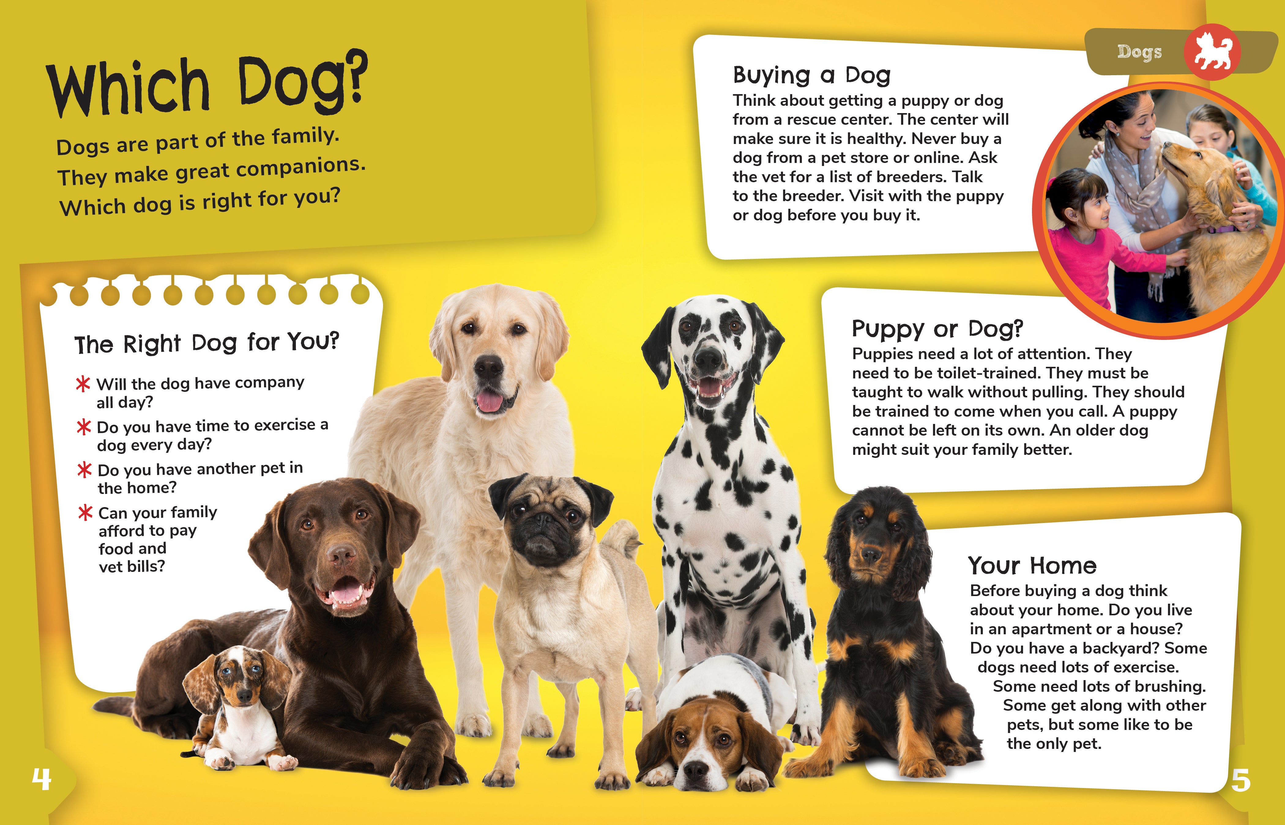 Dog Detective Toys for Pets - Fun Interactive Puzzle Games for Dogs to Stimulate Intelligence | Perfect for Training, Playtime & Mental Enrichment