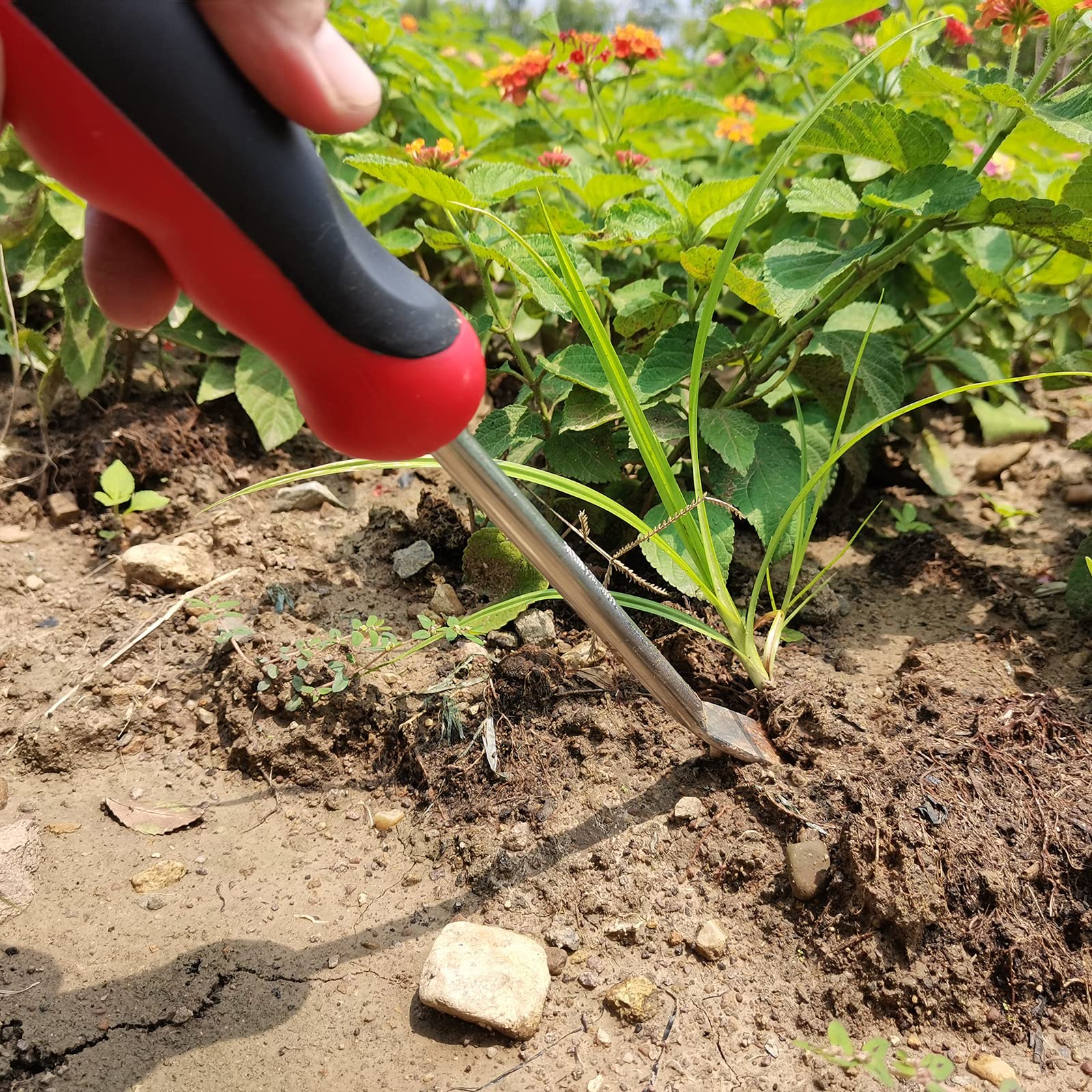 Stainless Steel Weed Puller Tool - Ergonomic Handle Garden Hook & Hand Cultivator for Easy Weeding | Perfect for Yard, Lawn, Garden Maintenance & Outdoor Gardening Tasks