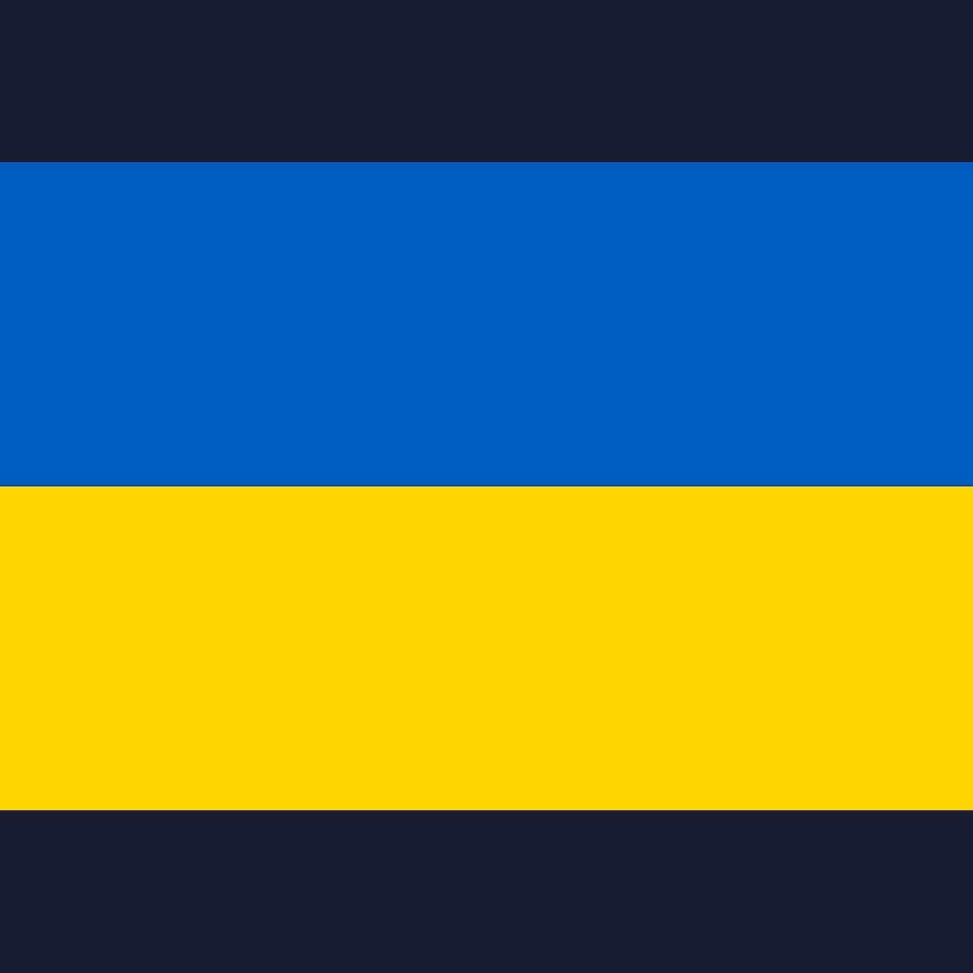 Ukraine Flag Sweatshirt - Classic Crewneck Pullover for Men & Women | Patriotic Apparel for Supporters, Ukrainian Pride, and Casual Wear