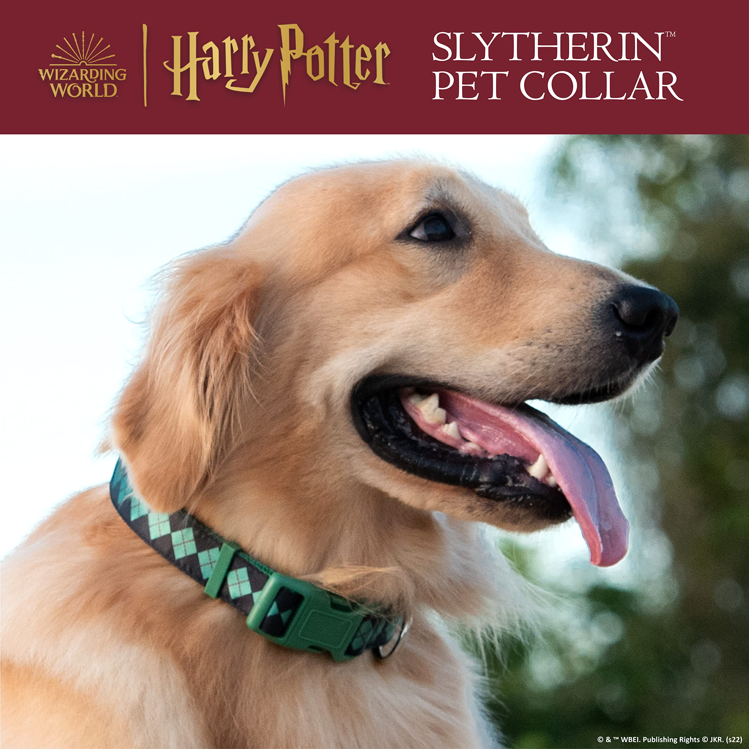 Harry Potter Slytherin Dog Collar - Adjustable Small Pet Collar for Puppies & Small Dogs | Hogwarts House Themed Pet Accessories | Perfect for Cosplay, Halloween Costumes & Harry Potter Fans