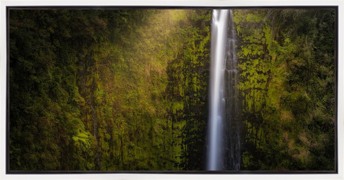 Stunning Akaka Falls Hawaii Landscape Art Print - Premium Gallery Wrap Canvas for Home & Office Decor - Perfect for Living Room, Bedroom, or Gift