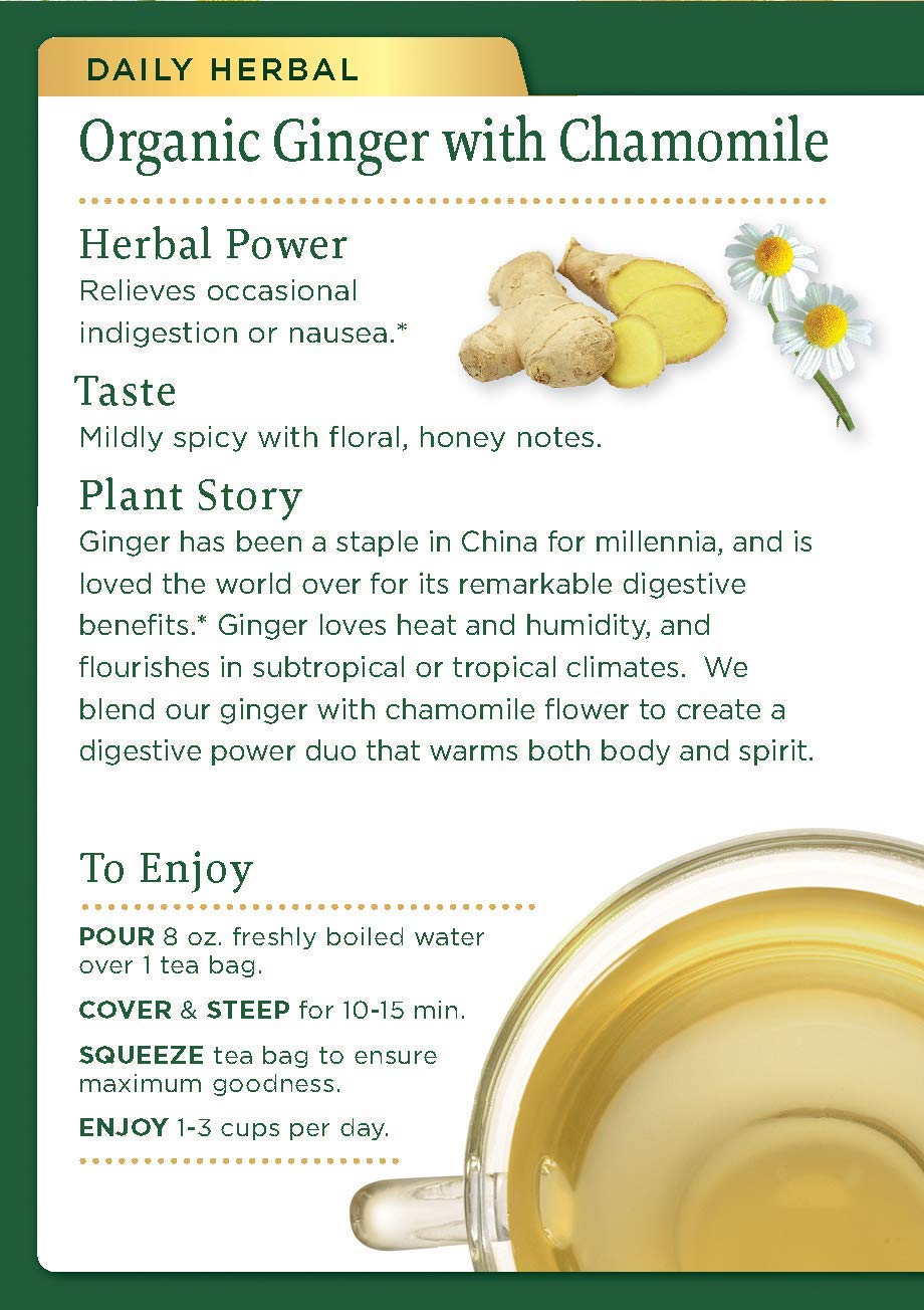 Organic Ginger Chamomile Tea Bags - Traditional Medicinal Herbal Tea for Digestion & Relaxation - 16 Count - Perfect for After Meals, Stress Relief & Evening Wind Down