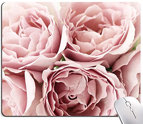 20 Roses