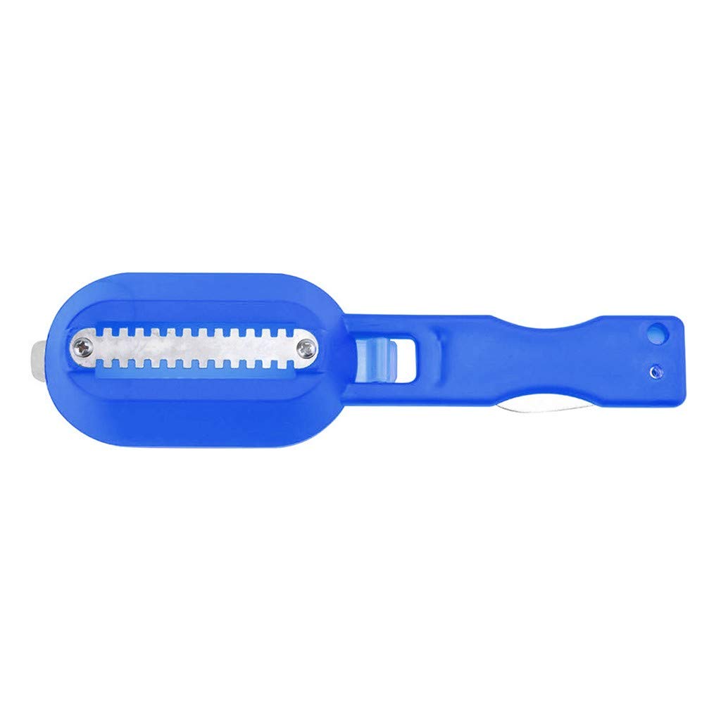 Best Fish Scaler & Scraper - Stainless Steel Kitchen Tool for Easy Fish Cleaning & Descaling - Perfect for Home Cooking, Camping & Seafood Prep