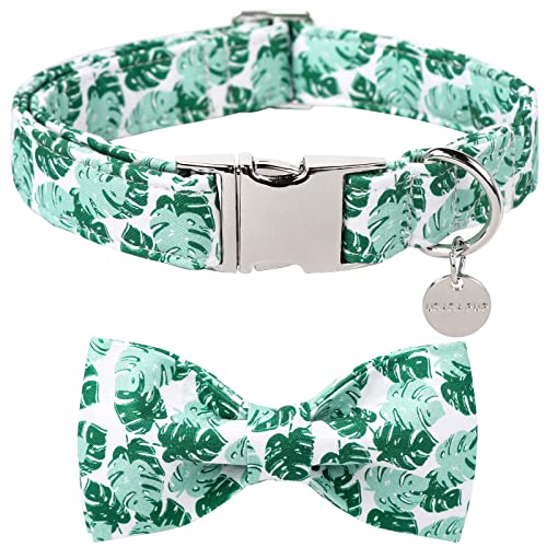GreenLeaves