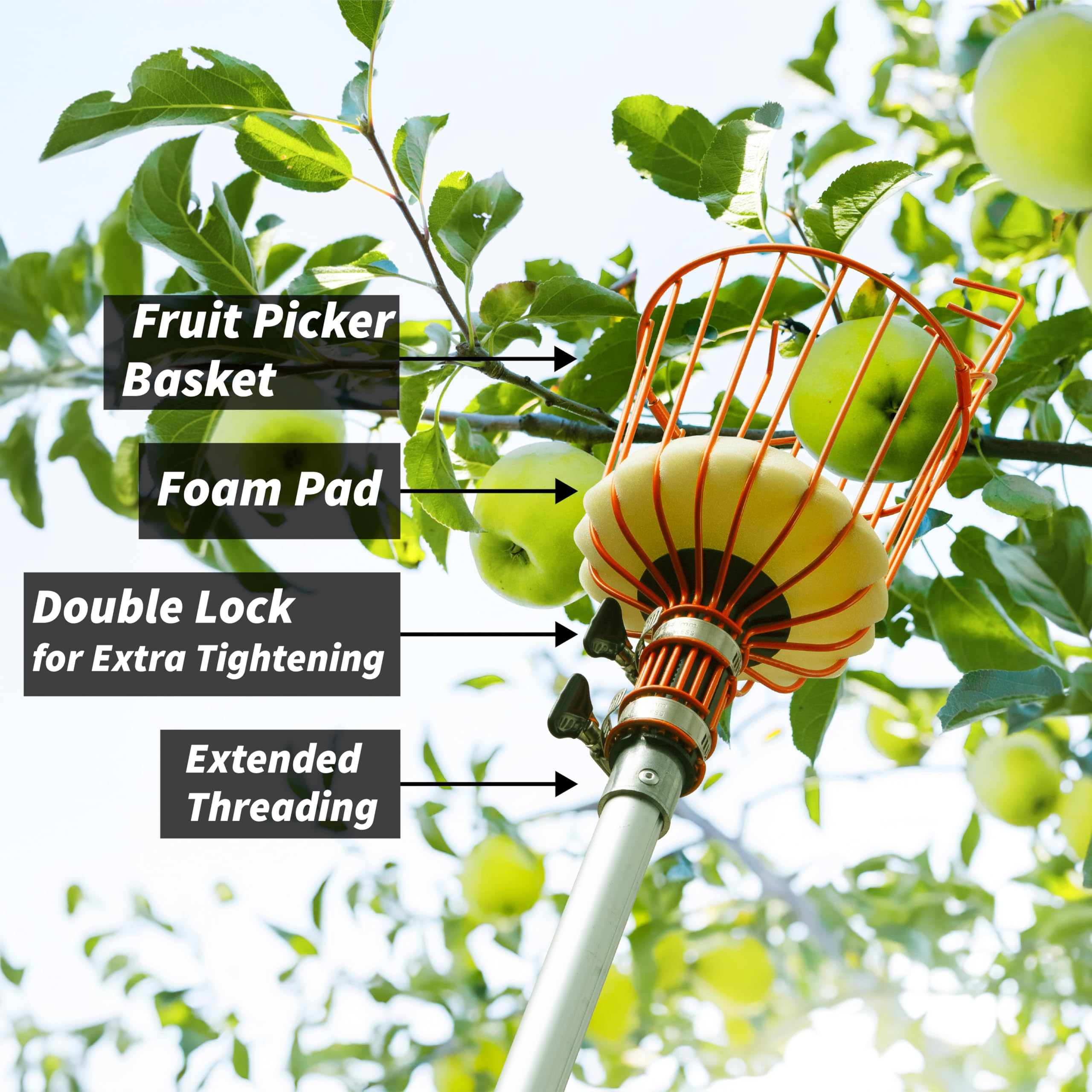 Telescopic Fruit Picker Pole with Basket - Extends 7 to 30 ft for High-Reach Harvesting | Apple, Orange, Mango, Avocado, Lemon & Pear Picking Tool | Perfect for Home Orchards, Backyard Gardening & Commercial Use