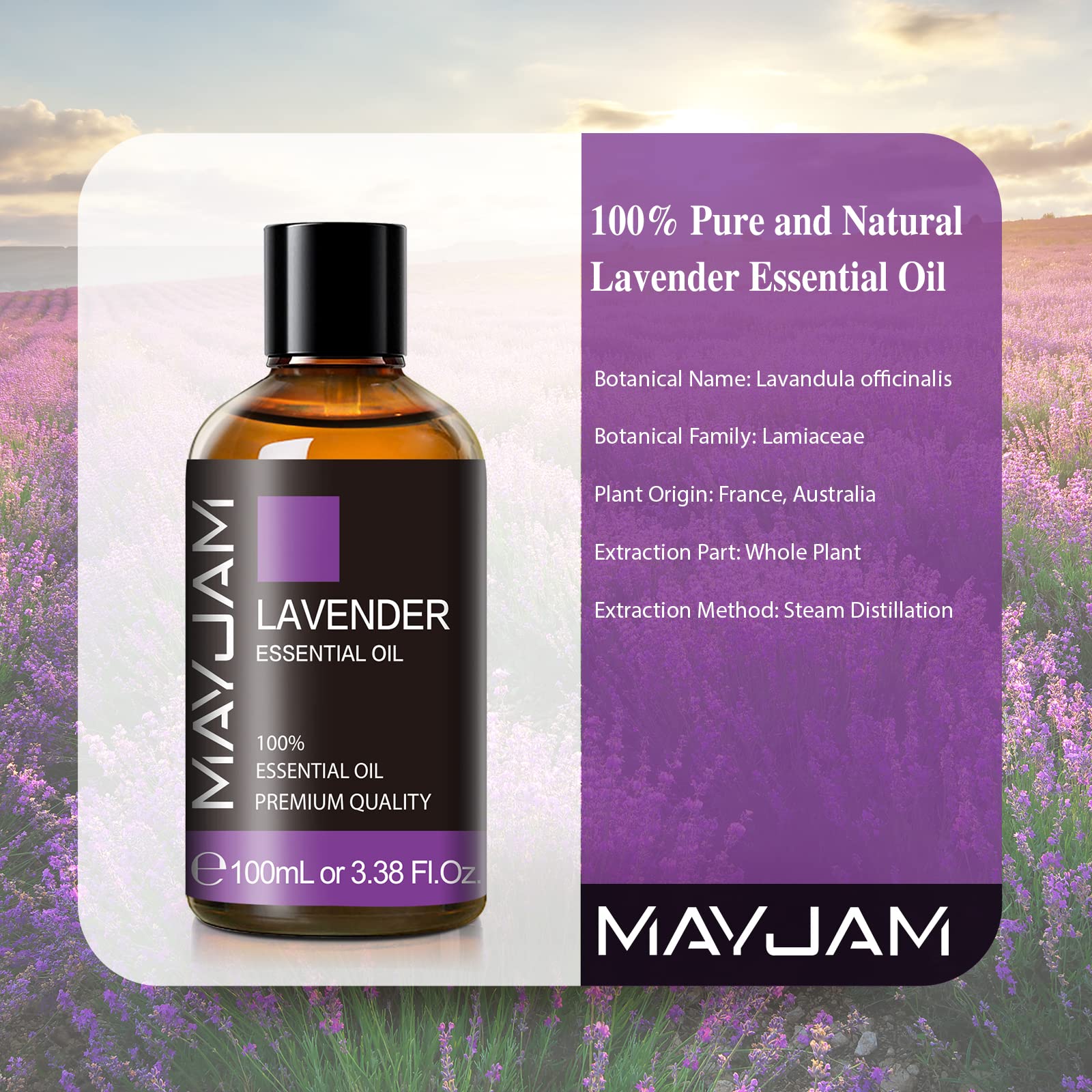 MAYJAM 100% Pure Lavender Essential Oil - 3.38 Fl Oz (100ml) for Aromatherapy, Diffusers, Massage, Soap & Candle Making | Relaxing Scent for Stress Relief, Sleep & Home Spa
