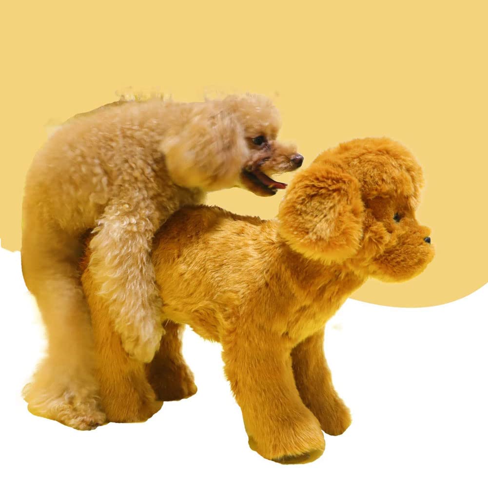 ZZYYZZ Dog Heat Relief Toy for Male Dogs - Brown 28cm Puppy Companion Toy to Satisfy Physiological Needs - Perfect for Estrus Relief & Comfort at Home
