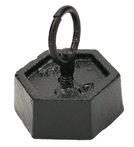 Eisco Labs Hexagonal Iron Masses with Lifting Ring - 200g Weight for Physics Experiments & Science Education