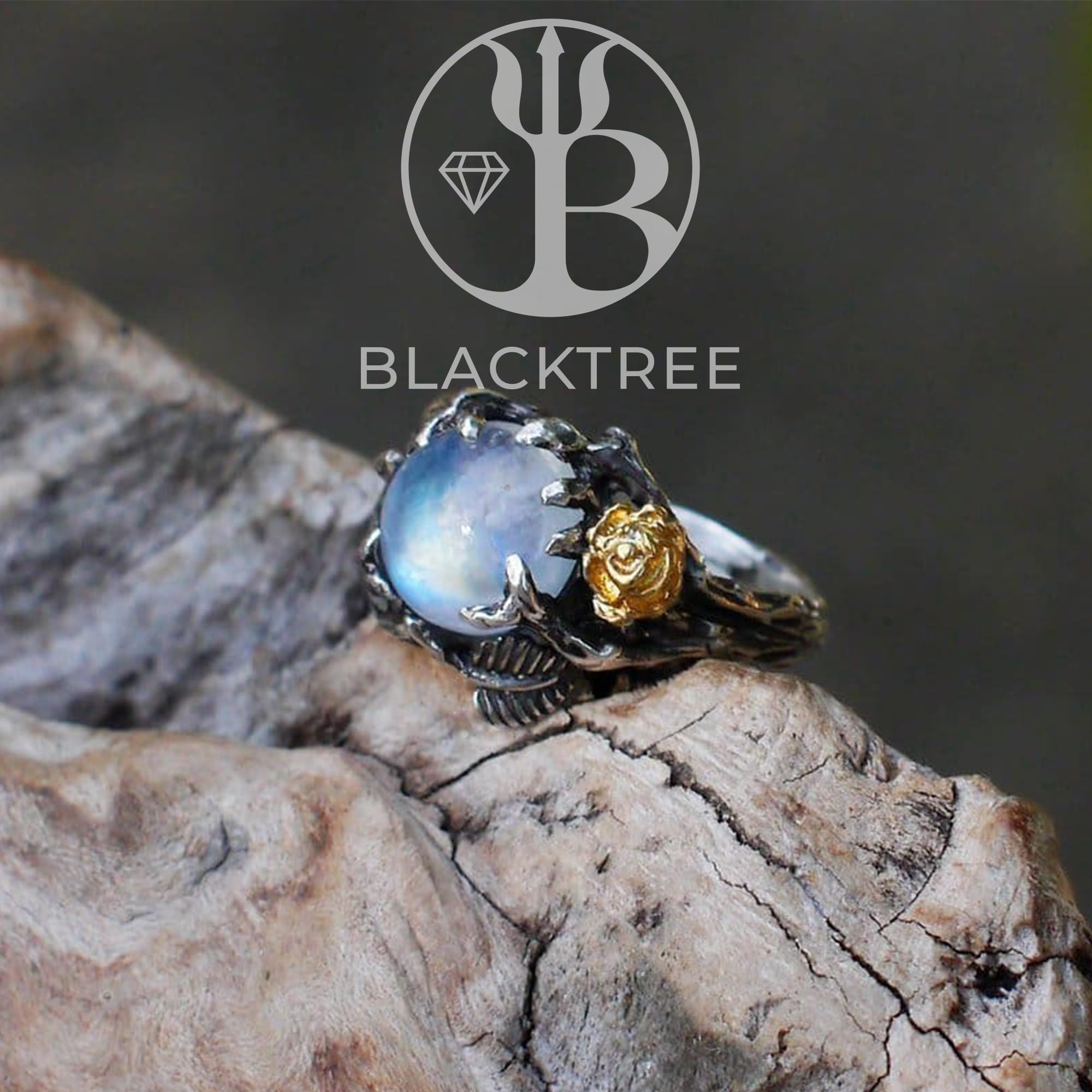 BlackTreeLab 