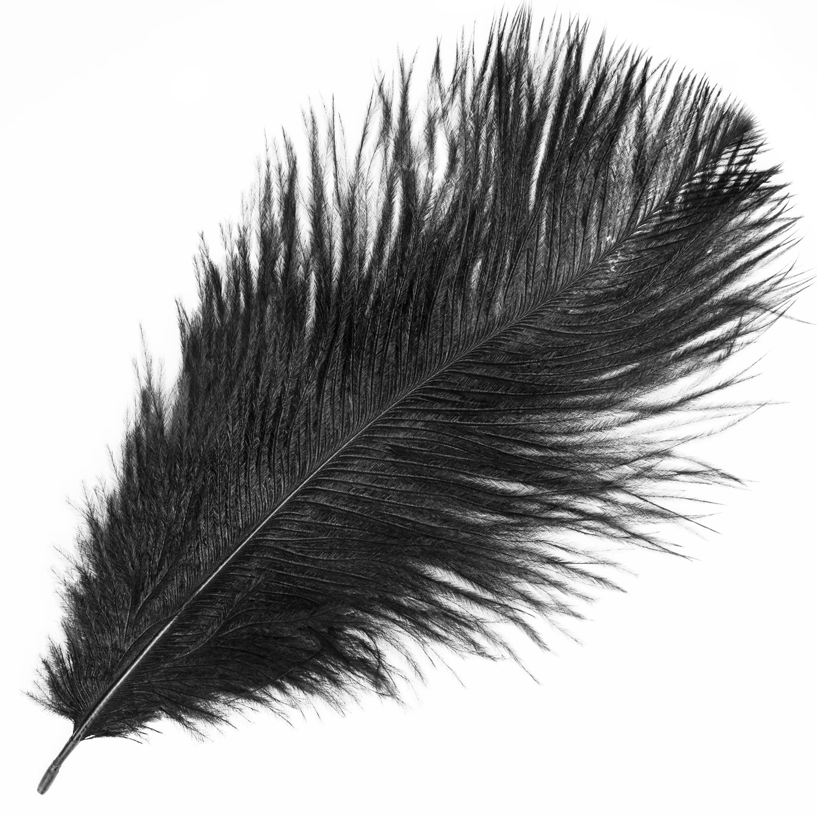 Black Feather Tickler for Couples - Sensual SM Toy for Teasing & Flirting - Soft Feather Tickler for Adult Play & Intimate Scenes - Perfect for Roleplay, Foreplay & Spicing Up Relationships