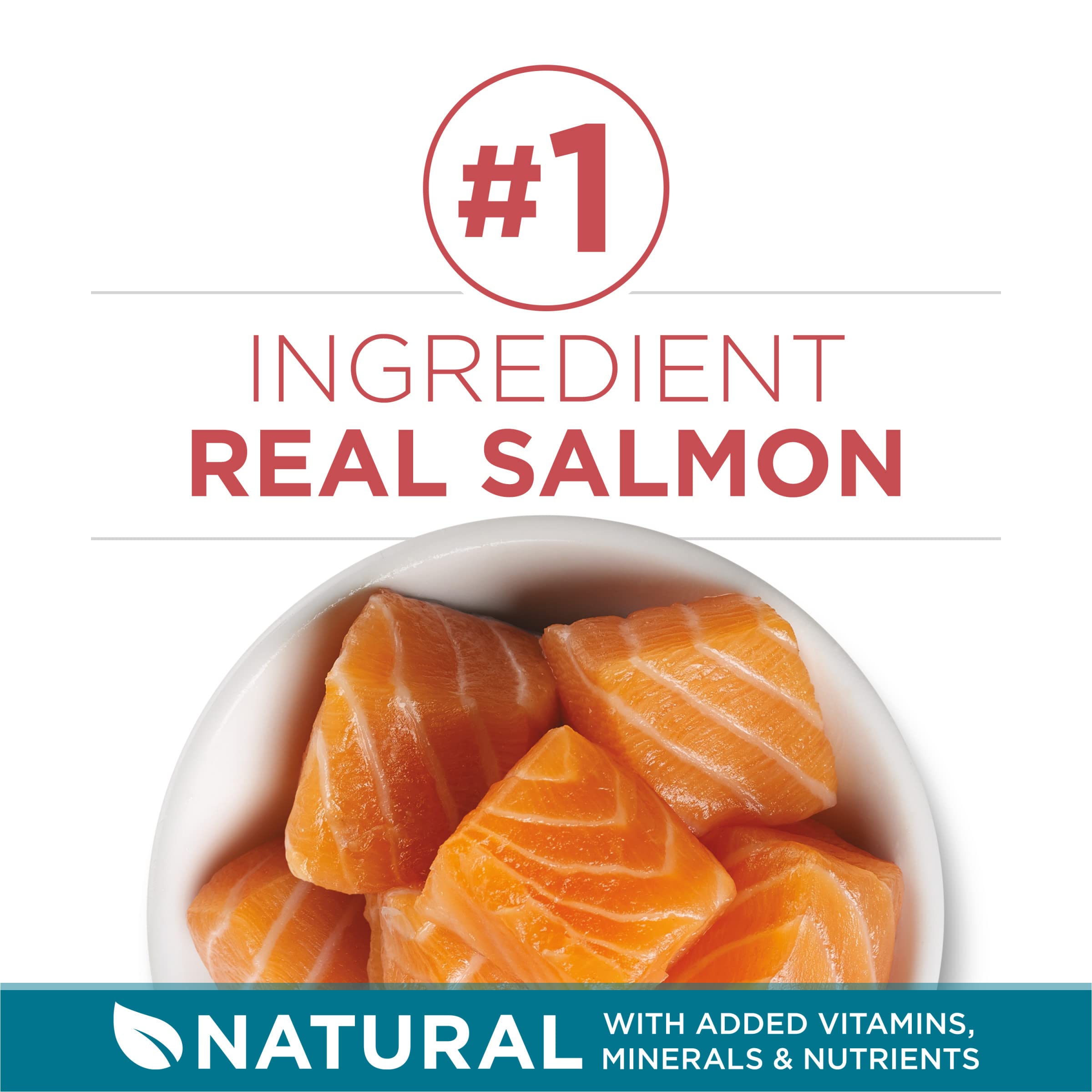 Purina ONE Natural Dry Cat Food with Real Salmon - Tender Selects Blend, 3.5 lb Bag - High Protein Adult Cat Food for Healthy Skin & Coat - Perfect for Indoor & Outdoor Cats