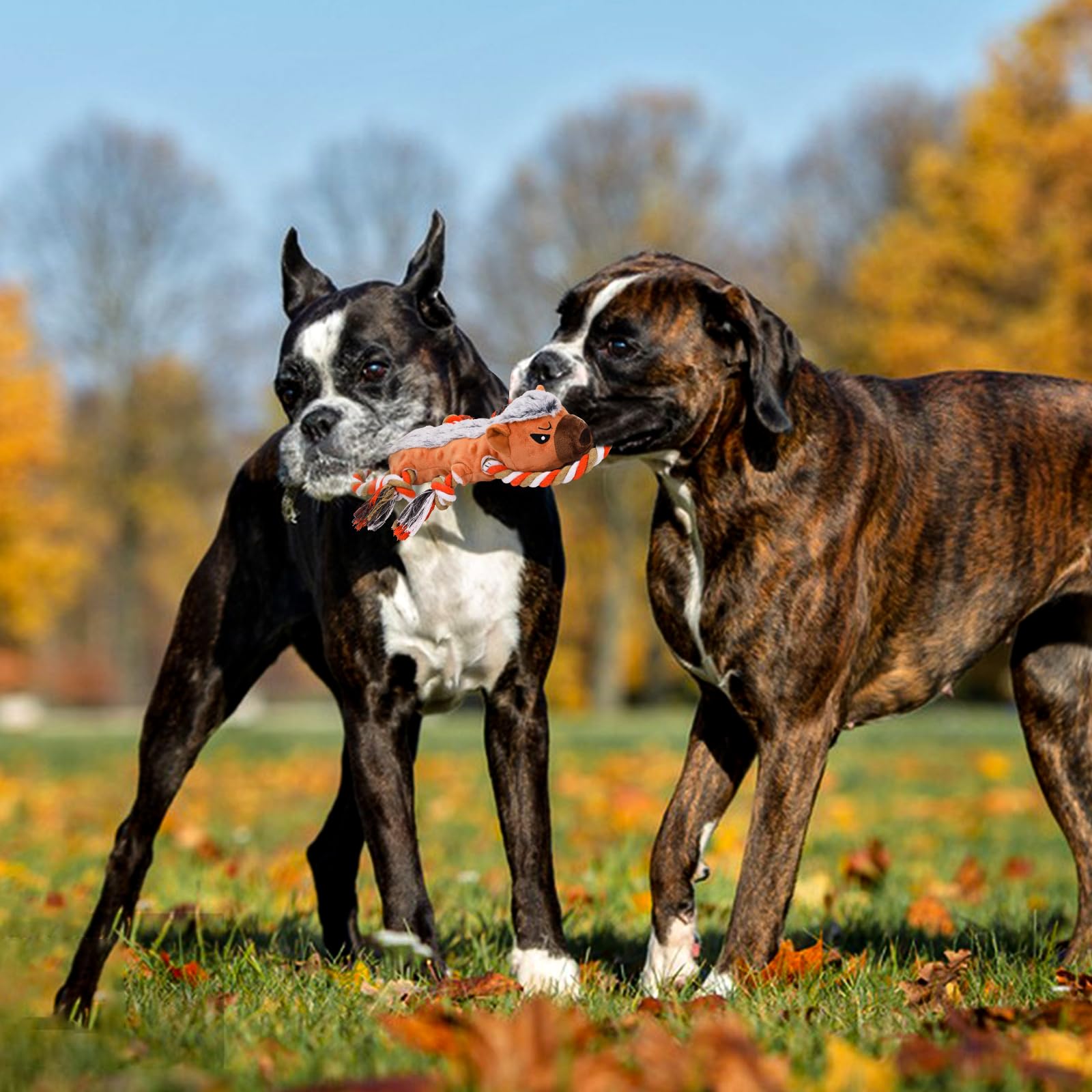 Durable Squeaky Dog Toys for Small, Medium & Large Dogs - Tough Chew & Tug of War Play for Indoor & Outdoor Fun