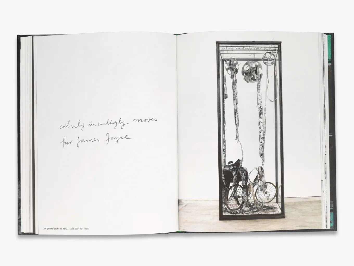 Anselm Kiefer Photography Art Book - Rare Limited Edition Collection for Art Collectors & Museum Exhibitions - Perfect for Modern Art Studies & Home Decor
