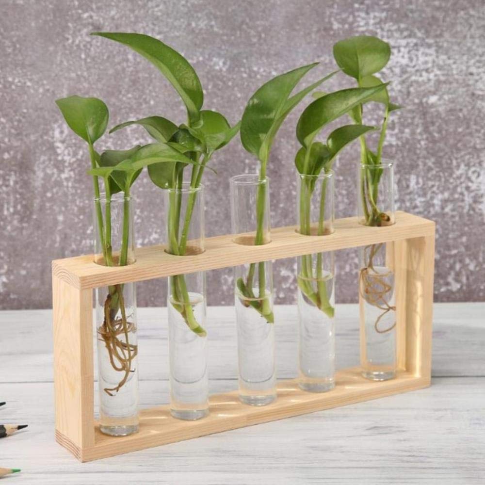 VJRQM Clear Glass Vase with Wooden Frame - Iron Art Terrarium Planter for Bonsai, Succulents & Home Decor - Elegant Desktop Centerpiece for Living Room, Office & Wedding Decorations (2-Pack)