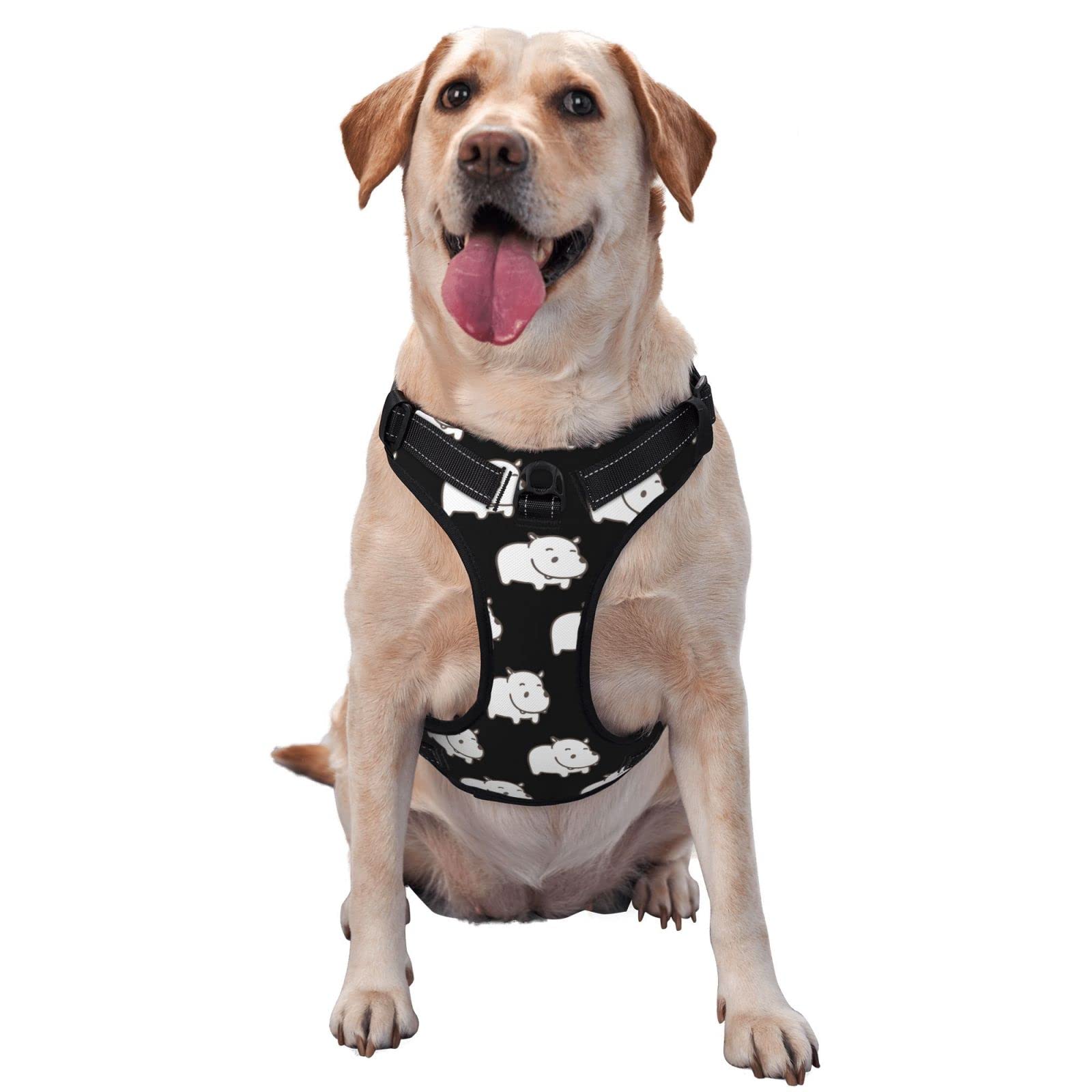 No Pull Dog Harness with 2 Leash Clips - Adjustable Soft Padded Pet Vest - Reflective Oxford Vest with Control Handle for Small Medium Large Dogs - Perfect for Walking, Training & Outdoor Adventures