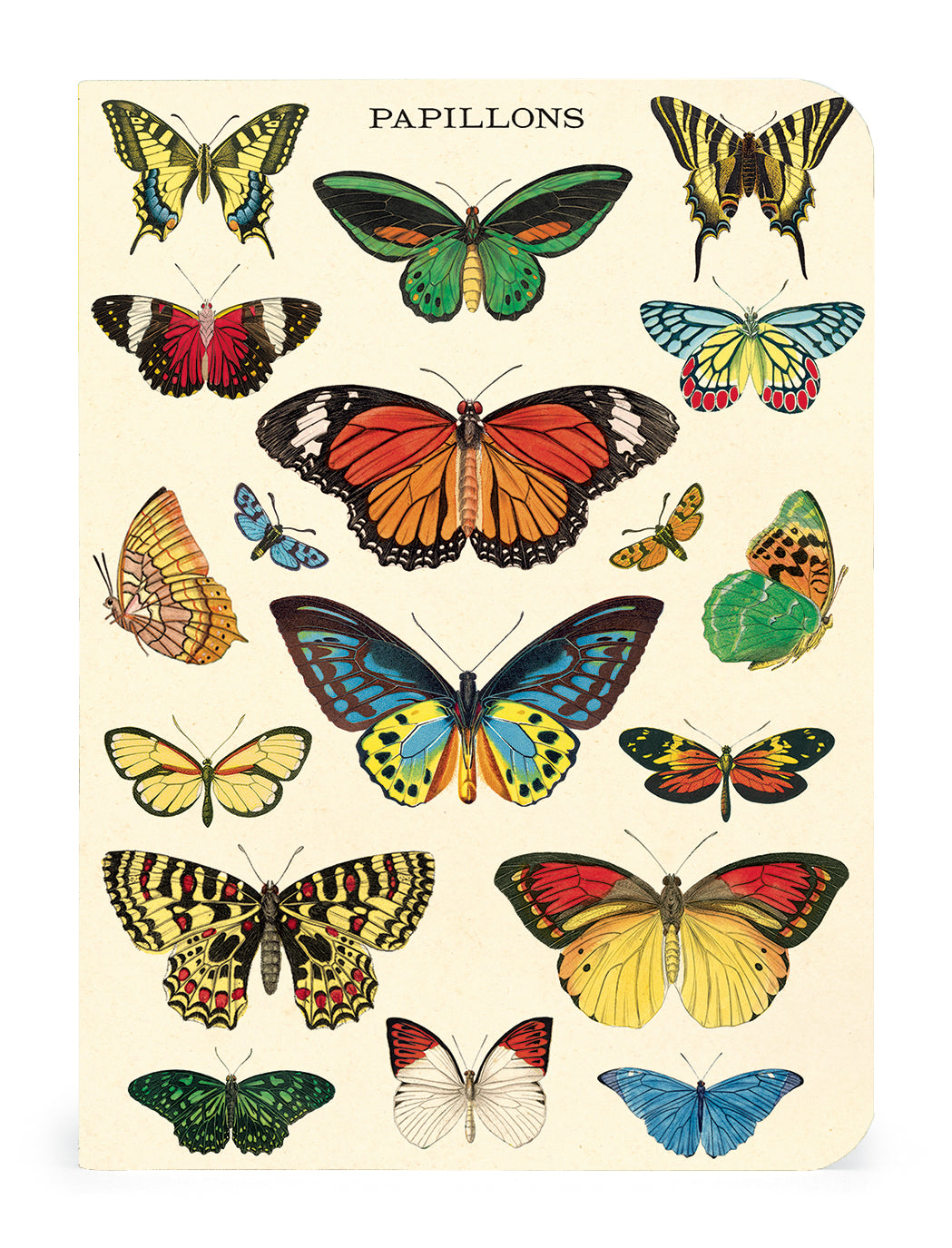 Butterfly Themed 3-Pack Mini Notebook Set - Perfect for Journaling, Note Taking & Gift Giving