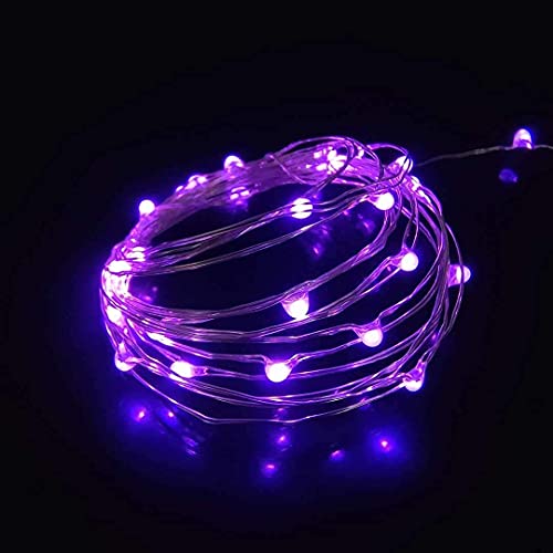 Purple Color