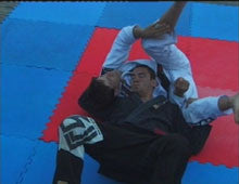 Arte Suave: Jiu Jitsu Lifestyle Vol 2 DVD - Brazilian Jiu Jitsu Training & Techniques for MMA, Self Defense & Fitness - Perfect for Home Workouts & Martial Arts Enthusiasts