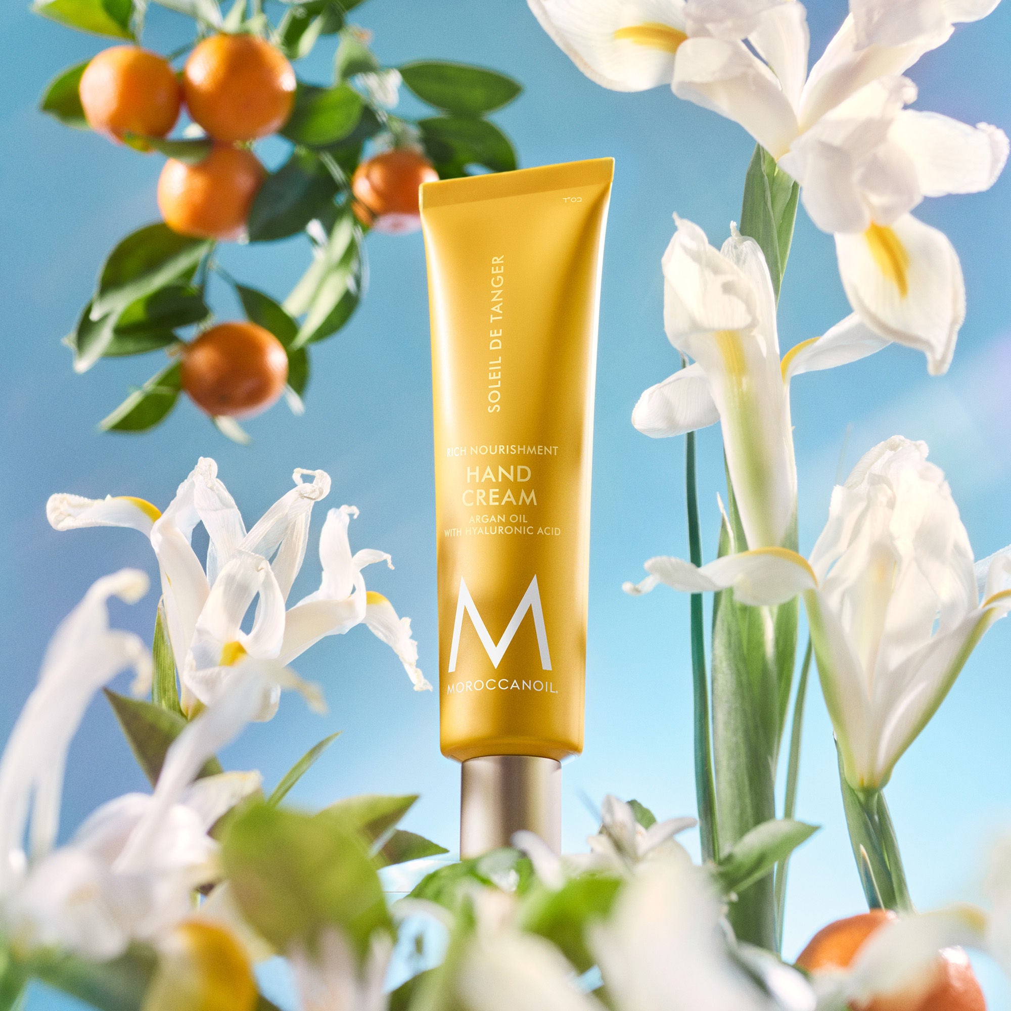 Best Hand Cream Soleil de Tanger - Ultra Moisturizing & Nourishing for Dry Skin - Perfect for Winter Care & Daily Hydration