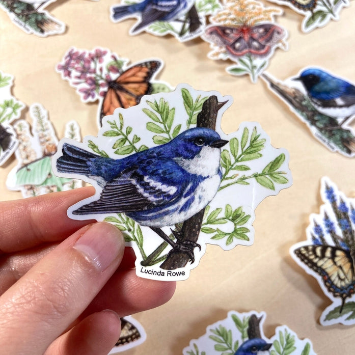 Cerulean Warbler Vinyl Sticker - Waterproof, Durable Decal for Laptops, Cars & Water Bottles - Perfect for Bird Lovers & Nature Enthusiasts