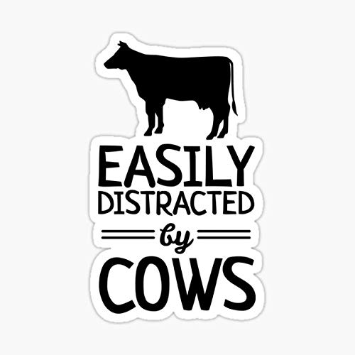 Easily Distracted by Cows Sticker - Funny Cow Lover Vinyl Decal - Waterproof, Fade Resistant Die-Cut Sticker - Perfect for Laptops, Cars, Water Bottles & Notebooks