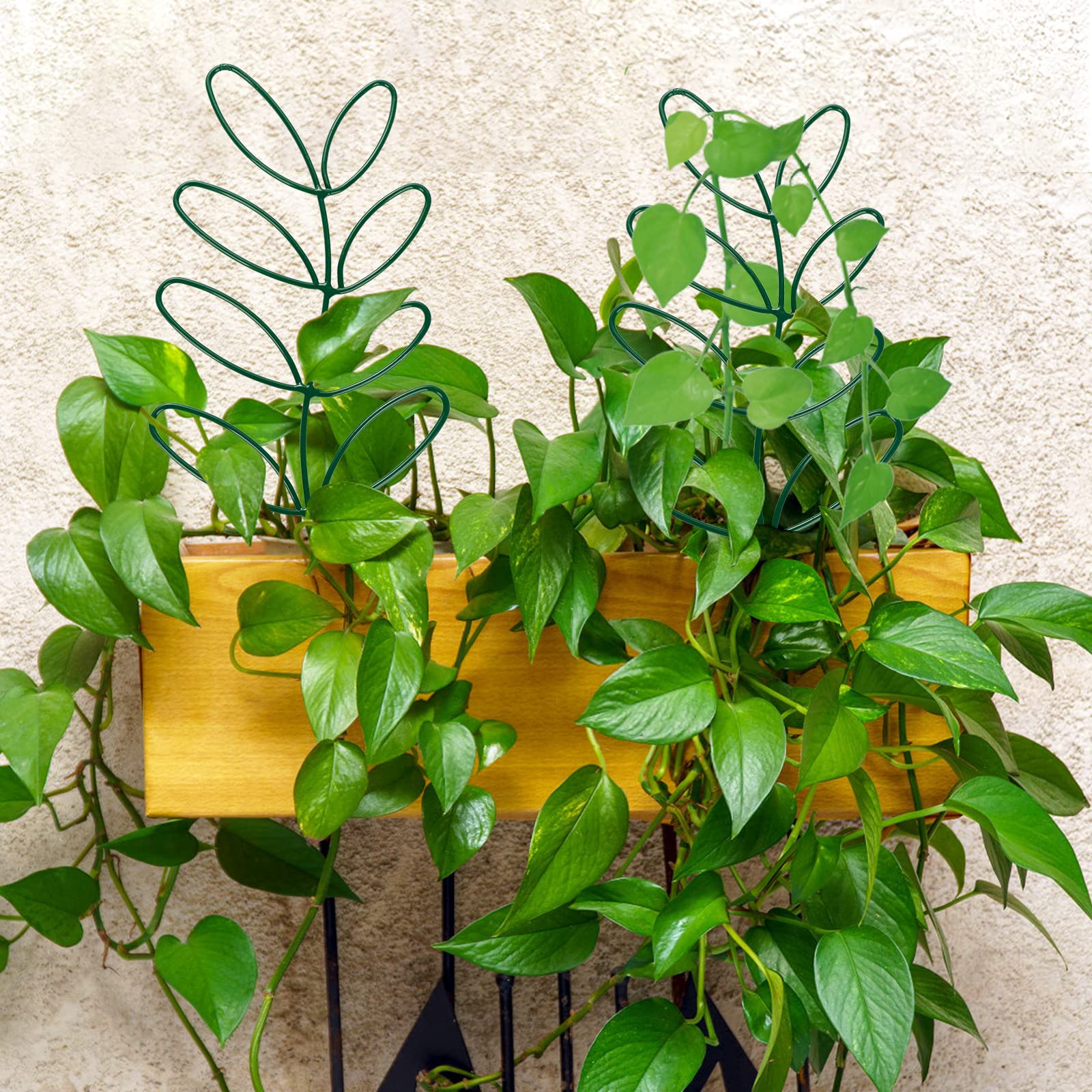 2 Pack White Leaf-Shaped Iron Trellis for Potted Plants - Garden Plant Support for Climbing Vines, Flowers & Vegetables - Indoor/Outdoor Use for Balcony, Patio & Backyard Gardening