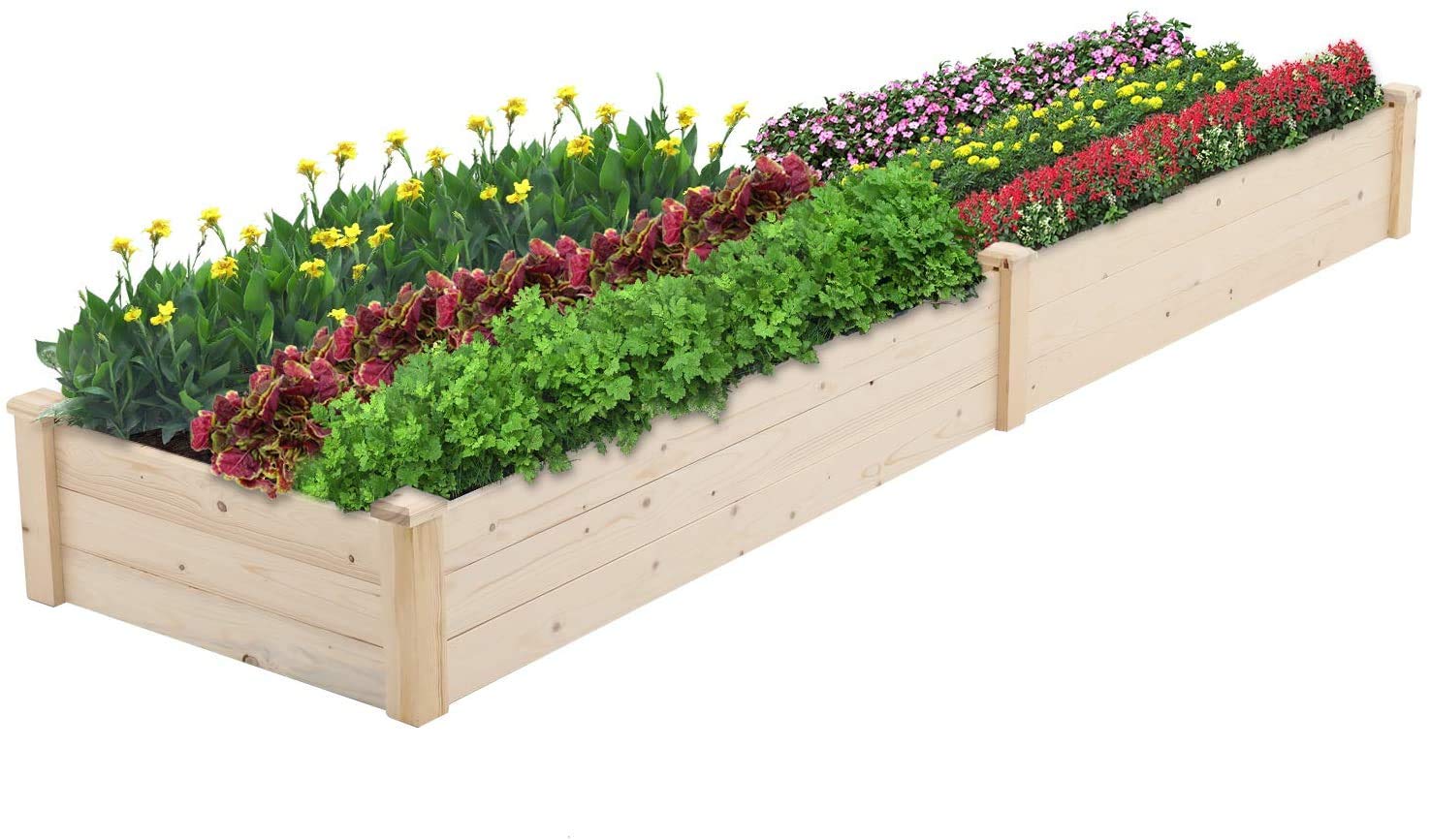 8 FT Wooden Raised Garden Bed Planter Box Kit for Vegetables, Fruits, Herbs - Outdoor Gardening for Patio, Yard & Backyard - Perfect for Growing Flowers, Organic Produce & Landscaping Projects