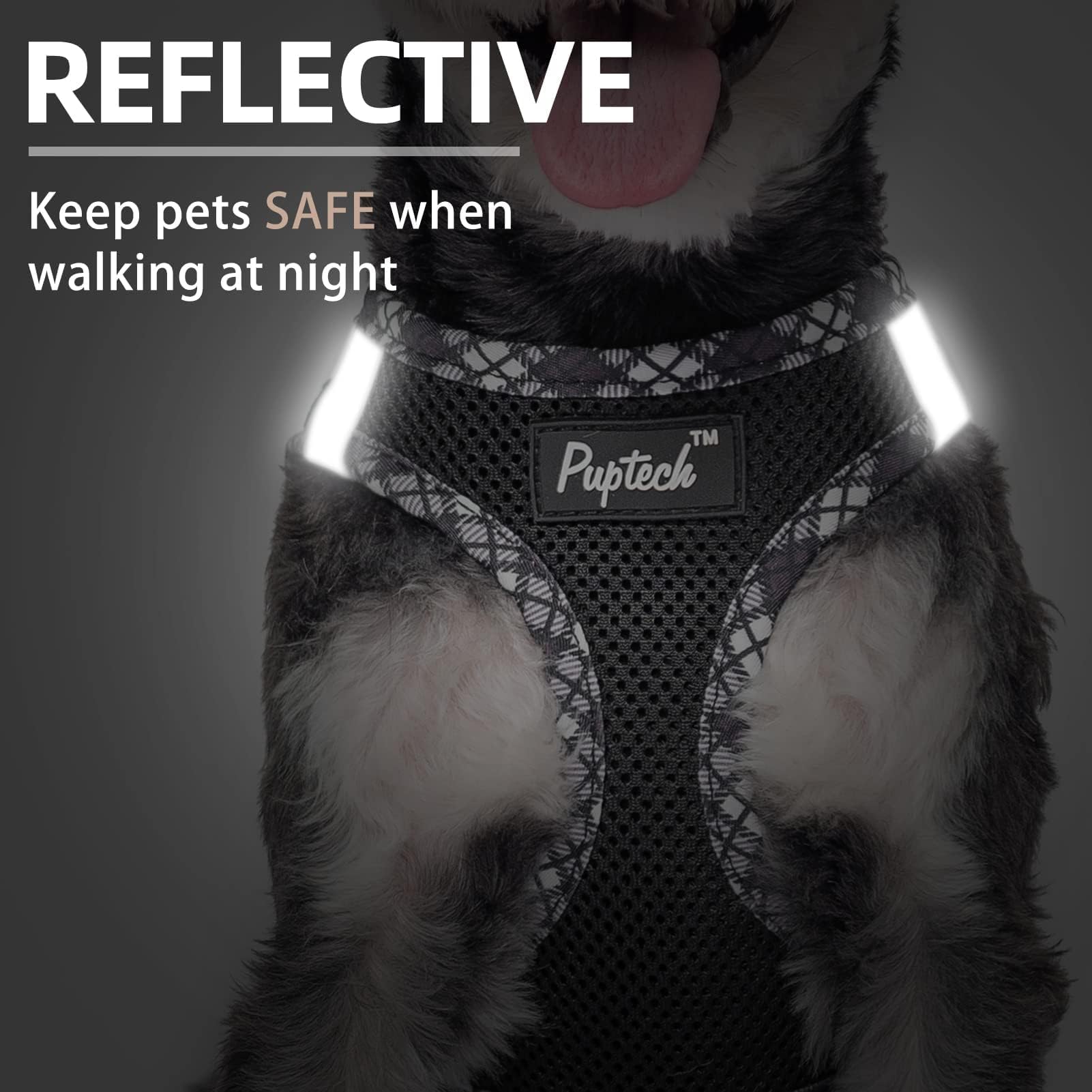 PUPTECK No-Pull Step-In Dog Harness & Leash Set - Soft Mesh Reflective Vest for Small & Medium Dogs & Puppies (Black, XS) - Perfect for Night Walks, Training & Outdoor Adventures
