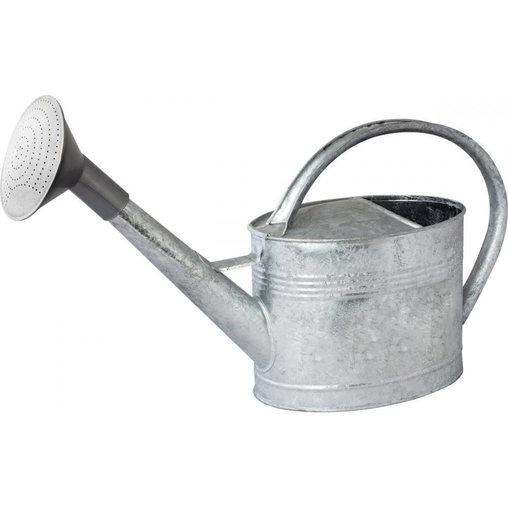 6L Galvanized Watering Can with Long Spout - Rustproof Garden Watering Pot for Indoor & Outdoor Plants, Flowers, and Herbs - Perfect for Home Gardening, Balcony, and Backyard Use
