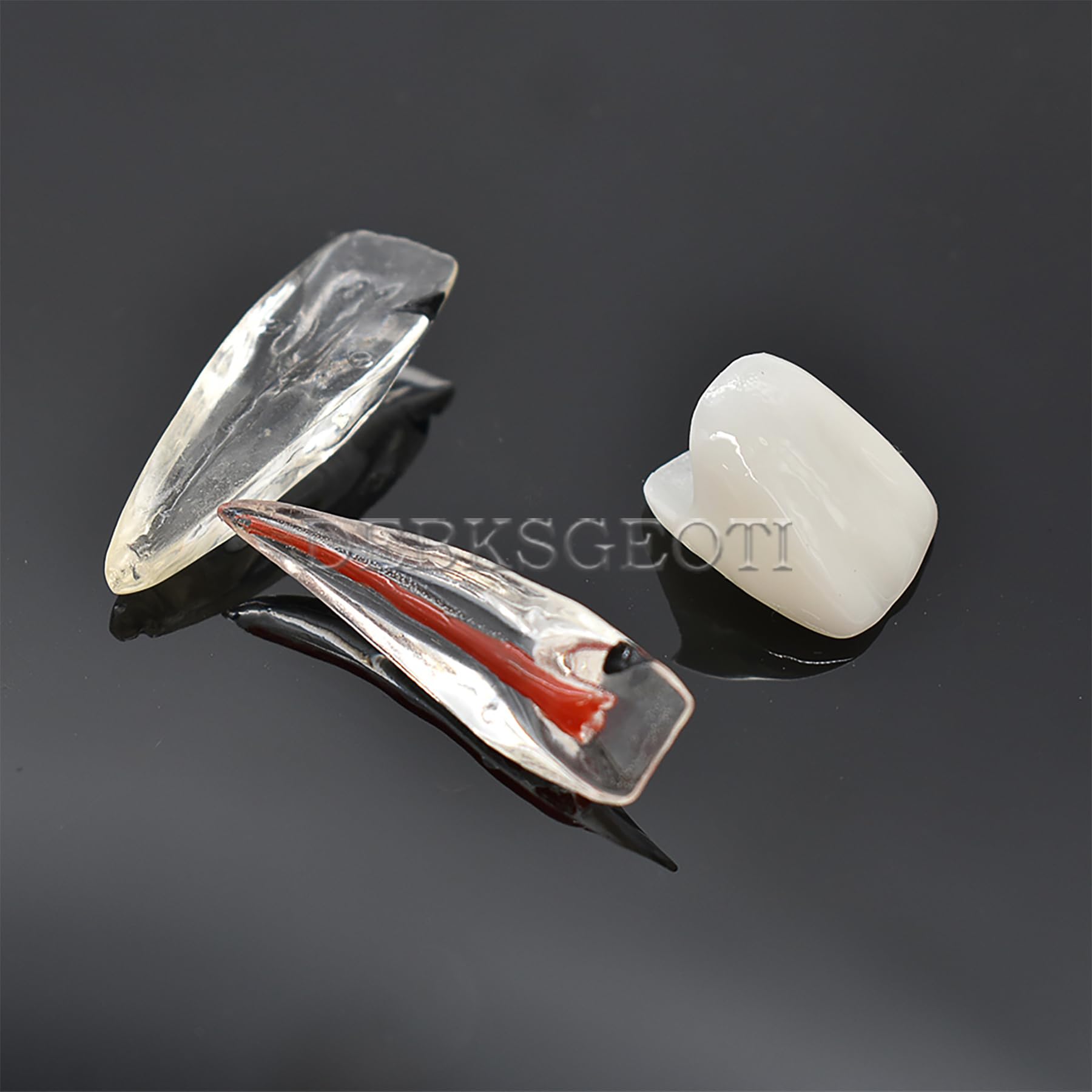 Dental Typodont Model for Caries Treatment - M4008 Anatomical Demonstration Kit for Incisor & Diseased Teeth | Dental Education, Student Practice & Clinical Training