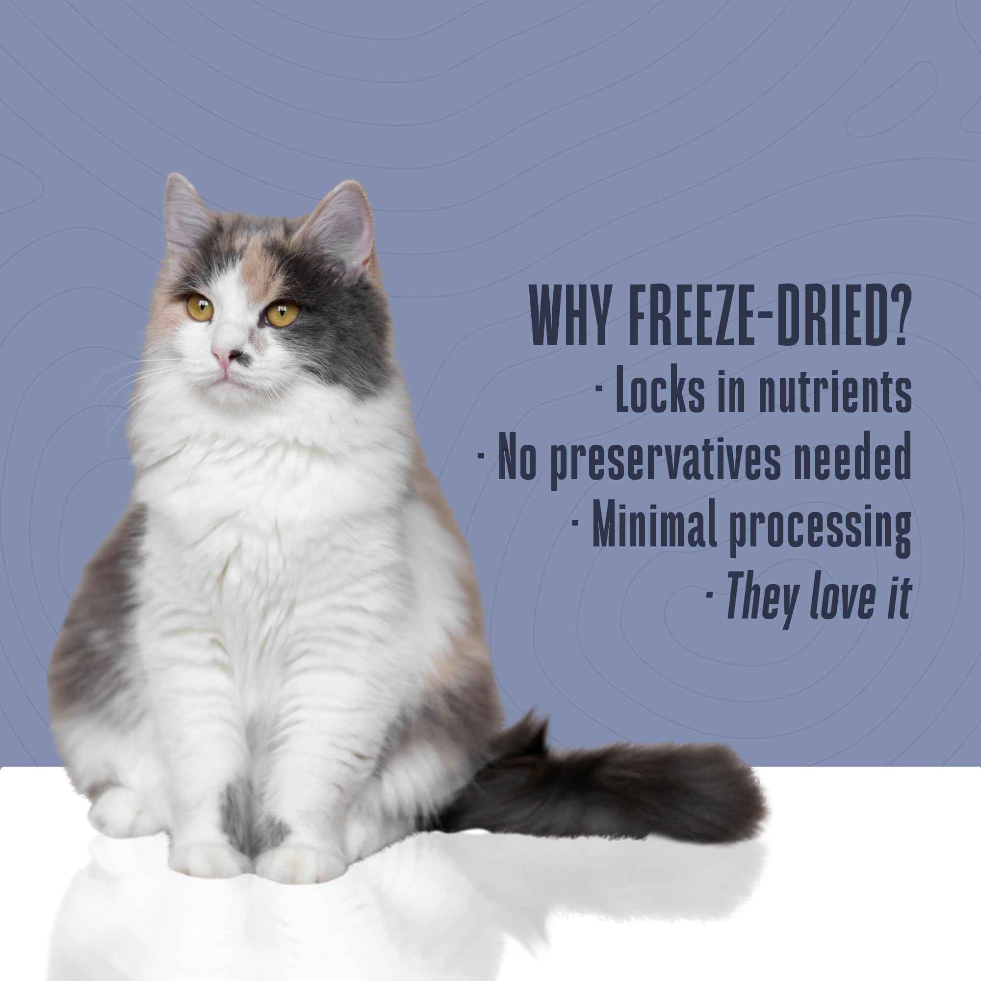 Premium Freeze-Dried Tuna Cat Treats - Human-Grade, High-Protein Snacks for Training & Health - USA-Made Natural Cat Food Topper - 3 oz (Pack of 1) - Perfect for Rewards, Training & Mealtime Boosts