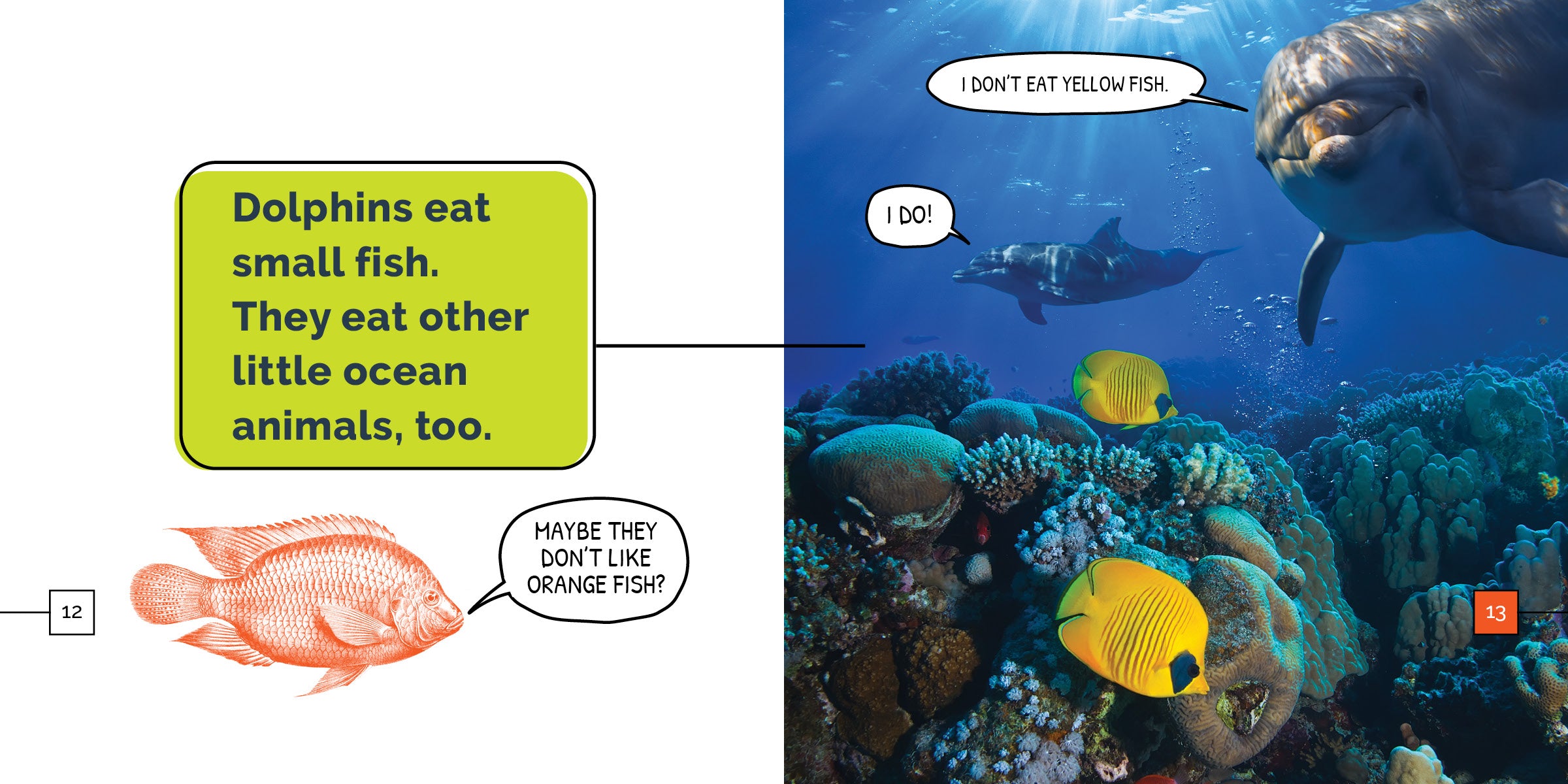 Dolphins Book 9781640268395 - Learn About Marine Life, Perfect for Kids & Ocean Enthusiasts | Great for School Projects & Educational Gifts