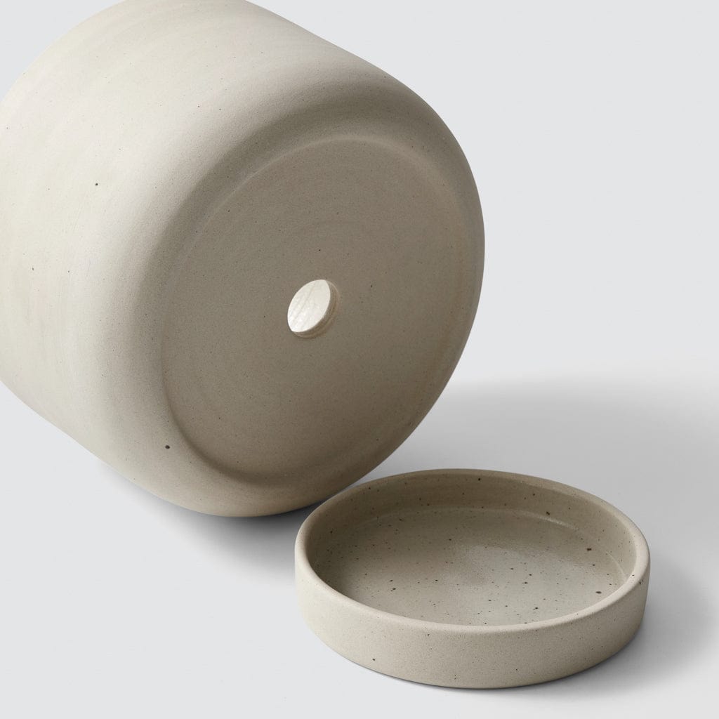 Paseo Tabletop Planter - Modern Ceramic Flower Pot for Succulents, Herbs & Small Plants | Perfect for Home, Office & Indoor Decor