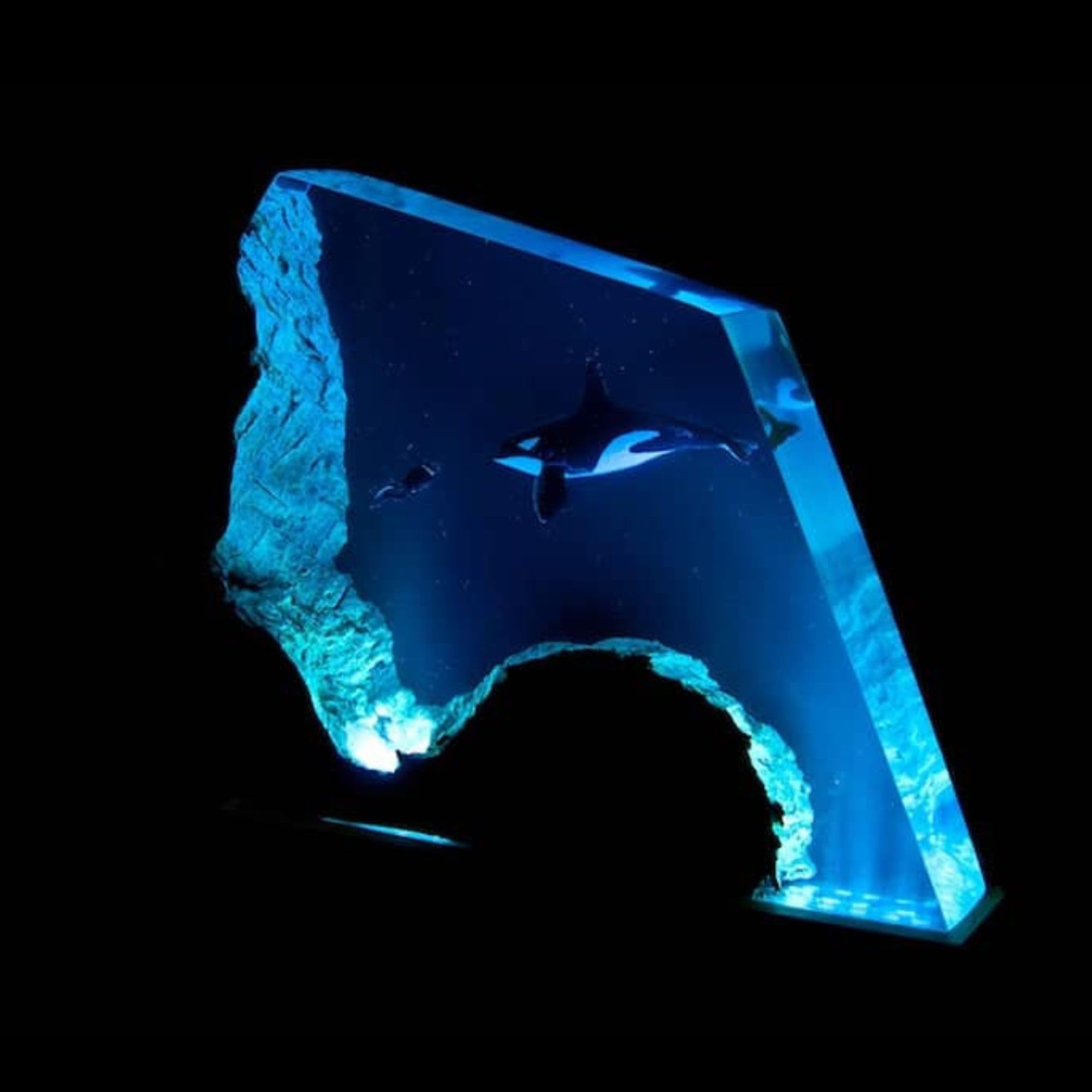 Handcrafted Orca and Diver Scuba Resin Wood Lamp - 4x4 Inch Ocean Theme Night Light with Epoxy Resin Diorama | Perfect Whale Gift for Marine Lovers, Bedroom Decor & Coastal Home Lighting