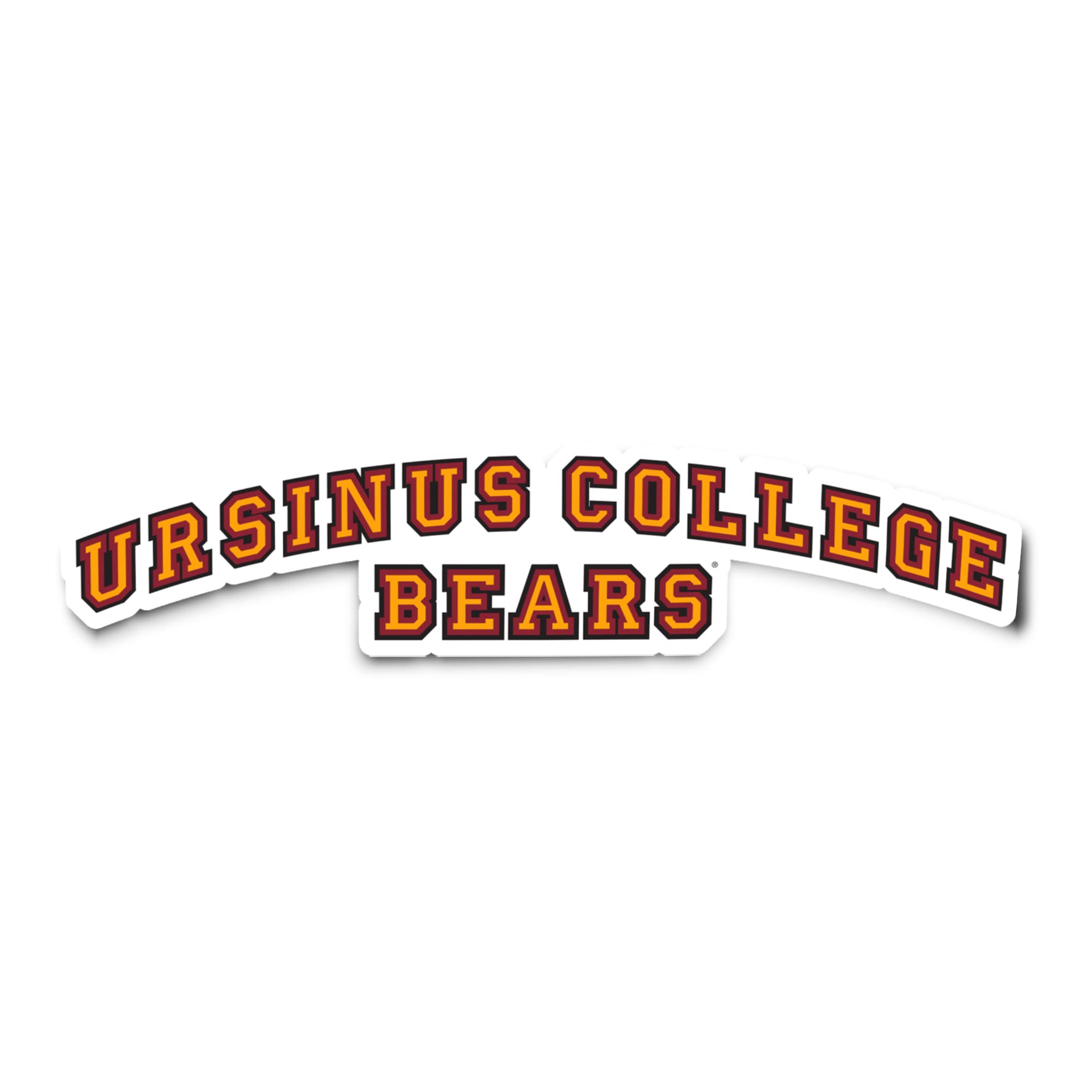Desert Cactus Ursinus College Bears Vinyl Decal Sticker - Waterproof Laptop, Water Bottle, Car, Scrapbook Decor - Perfect for College Dorm, School Spirit, and Fan Gifts