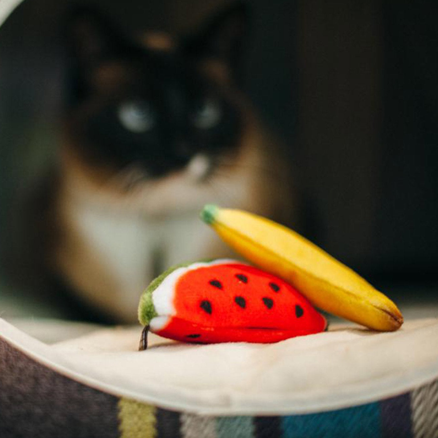 P.L.A.Y Tropical Fruits Cat Toys (2 Pack) - Fun Interactive Catnip Toys for Indoor Cats - Perfect for Playtime, Training & Enrichment