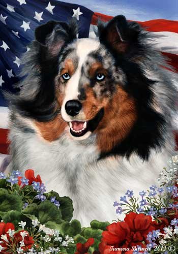 American Sheltie Dog Breed Patriotic House Flag - 28x40 Inches Blue Merle - Perfect for 4th of July, Memorial Day & Backyard Decor