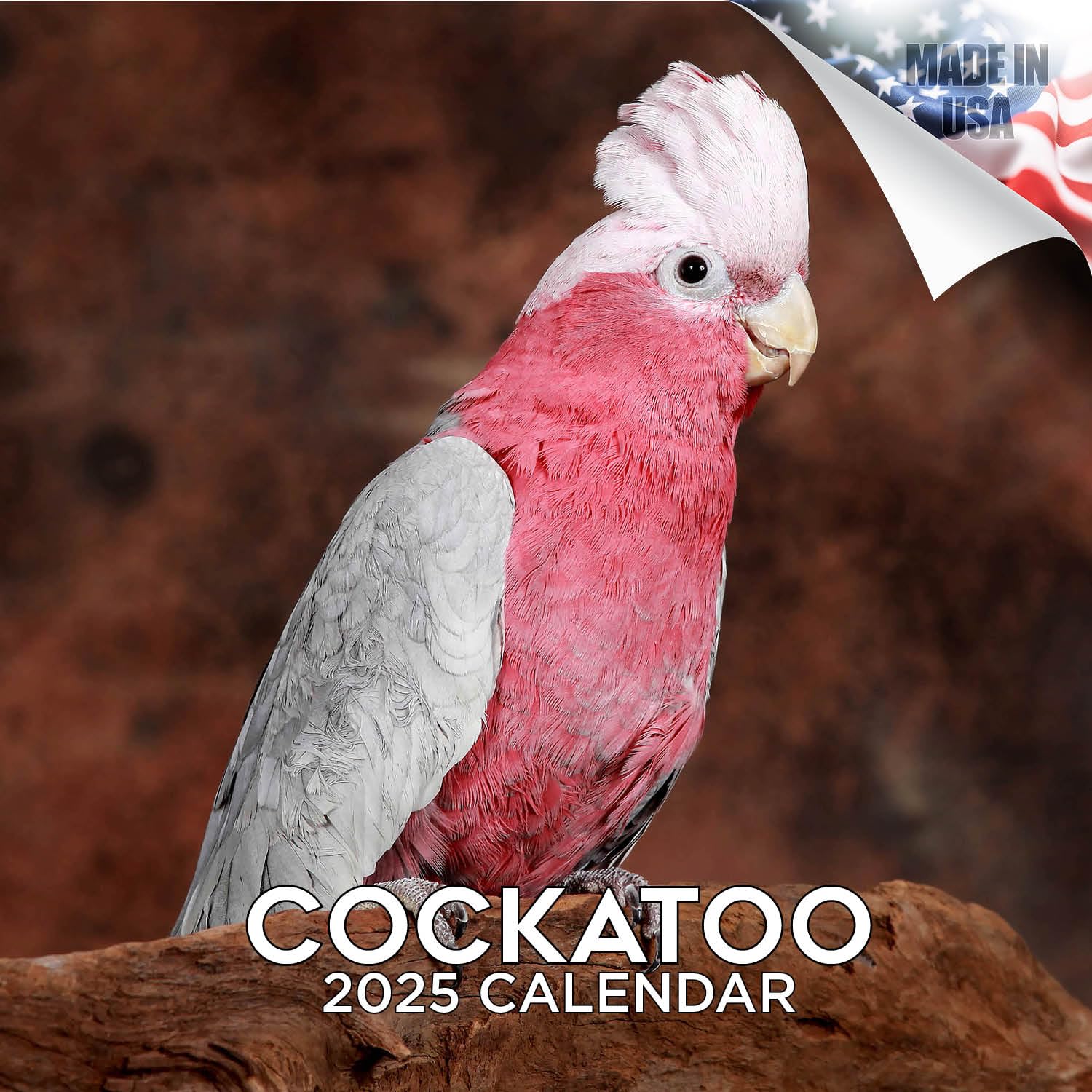 2024-2025 Cockatoo Wall Calendar with Holidays & Moon Phases | 12