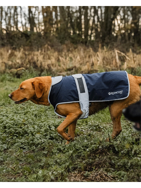 ReinCoat Waterproof Dog Coat for Small Medium Large Dogs - Warm Winter Jacket with Reflective Strips for Outdoor Walking, Hiking & Camping