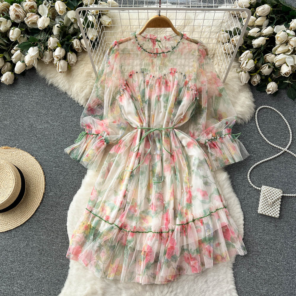 French Fairy Sweet Summer Mesh Long Sleeve Dress - Elegant Floral Lace Party Gown for Women | Perfect for Weddings, Garden Parties & Romantic Dates
