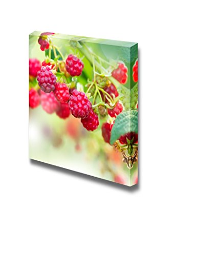 Raspberry