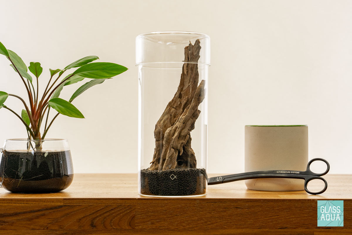 DIY Miniature Terrarium Kit for Home Decor - Complete Glass Garden Set with Plants & Accessories | Perfect for Office Desk, Living Room Centerpiece & Gift Ideas