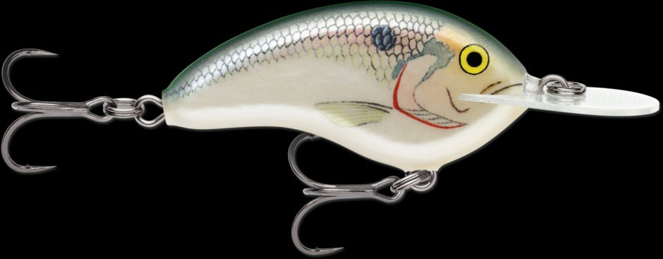 Big Shad