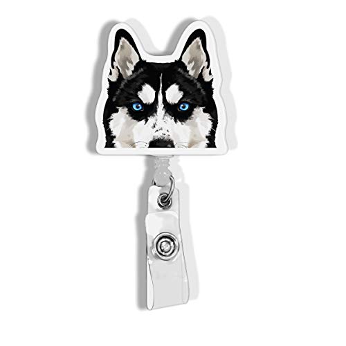Black Siberian Husky Dog