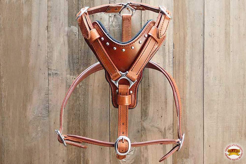 HILASON Mahogany X Small Leather Dog Harness with Leash - Adjustable Padded Vest for Small Dogs, Puppy Walking Harness with Matching Leash for Training, Outdoor Adventures & Daily Walks